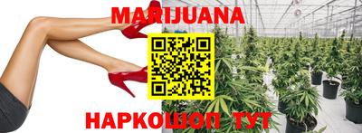 молекула духа Жуковский